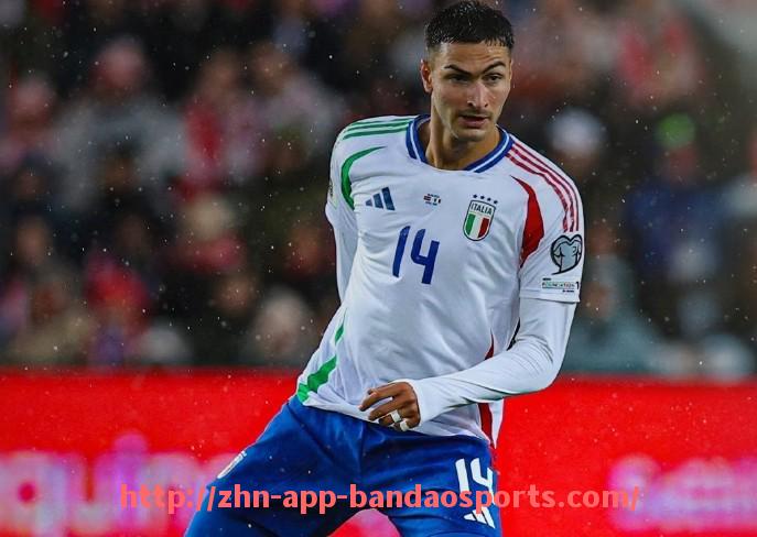 半岛体育app-世俱杯主场观众人数统计及支持热情分析