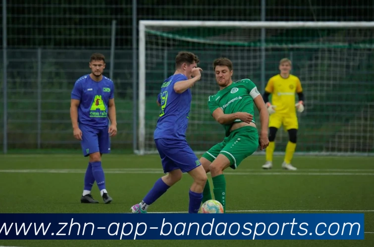 半岛体育APP 体育赛事宣传图